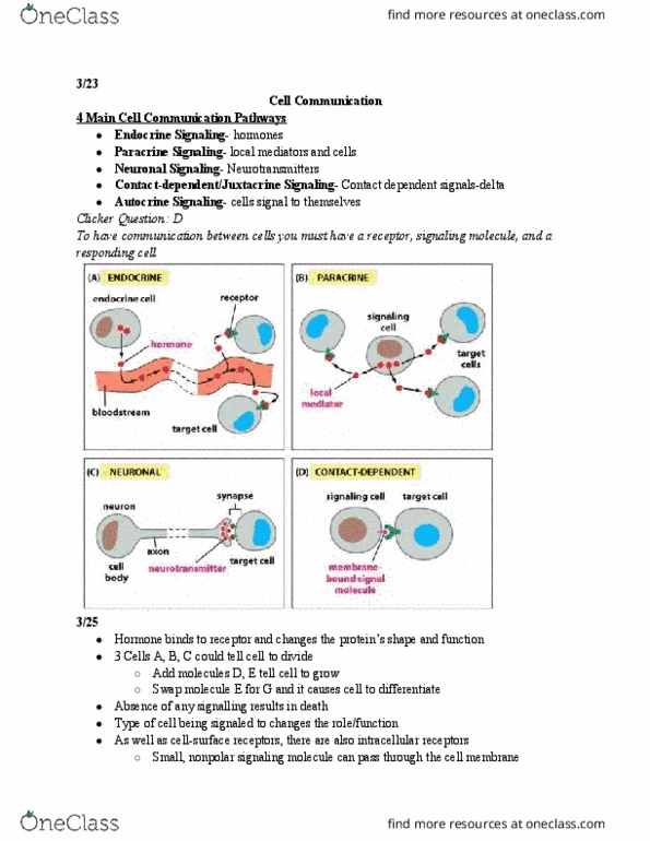 BIOLOGY 151 Lecture Notes - Lecture 27: Endothelium, Cell Signaling, Autocrine Signalling thumbnail