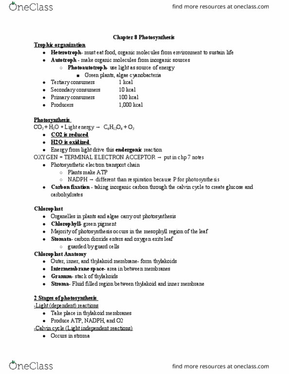 BIOLOGY 151 Lecture Notes - Lecture 25: Light-Independent Reactions, Beta-Carotene, Visible Spectrum thumbnail