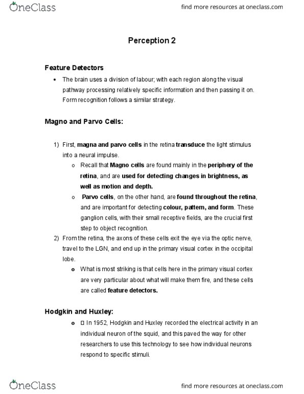 PSYCH 1XX3 Lecture Notes - Lecture 8: Visual Cortex, David H. Hubel, Occipital Lobe thumbnail