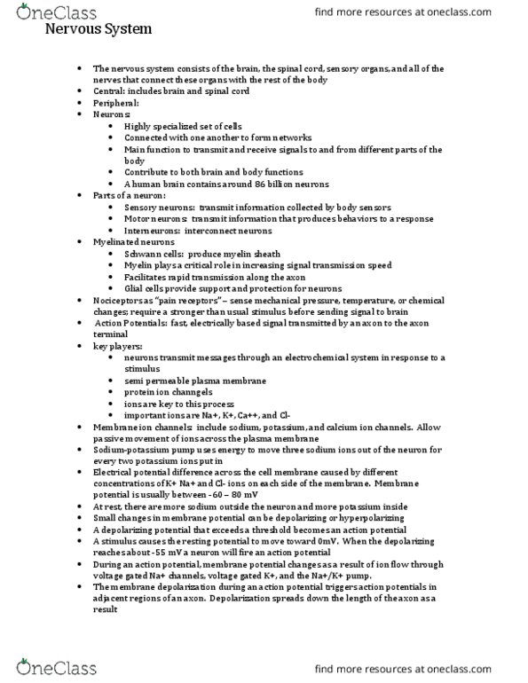 BISC208 Lecture Notes - Lecture 6: Axon Terminal, Schwann Cell, Nociceptor thumbnail