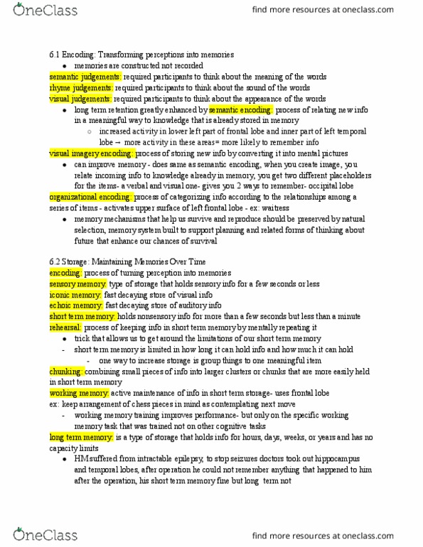 CAS PS 101 Chapter Notes - Chapter 6: Working Memory Training, Anterograde Amnesia, Frontal Lobe thumbnail