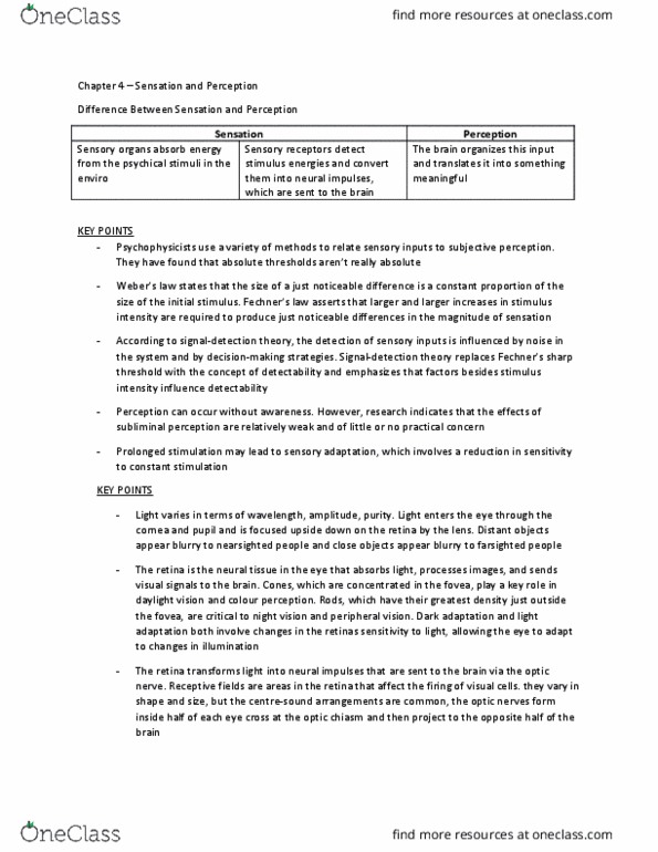 PSYC 1010 Chapter Notes - Chapter 4: Visual Cortex, Basilar Membrane, Optic Chiasm thumbnail