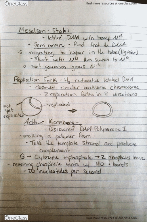 PBIO 3300 Lecture 1: 51616 317 PM Office Lens 1 thumbnail