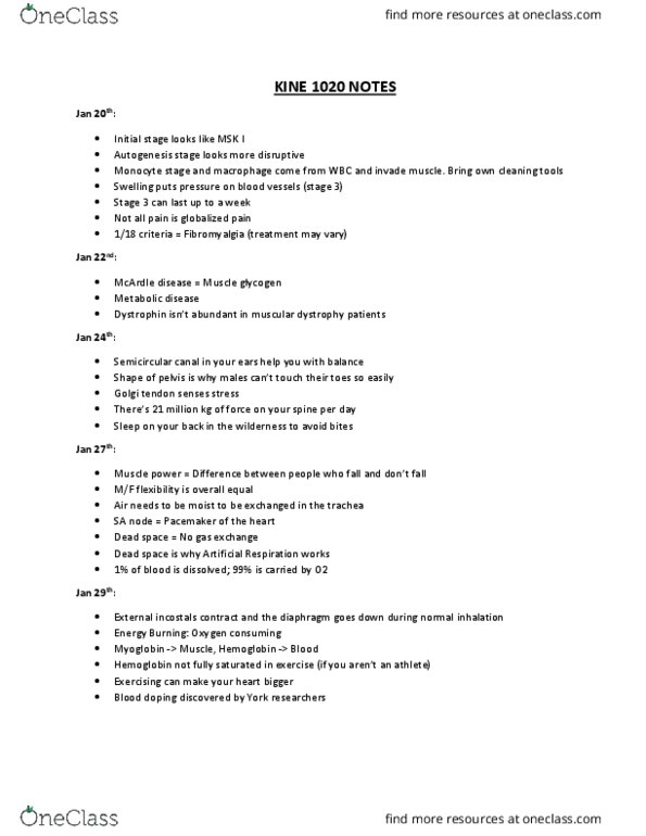 KINE 1020 Lecture Notes - Lecture 12: Lung Volumes, Anemia, Asthma thumbnail