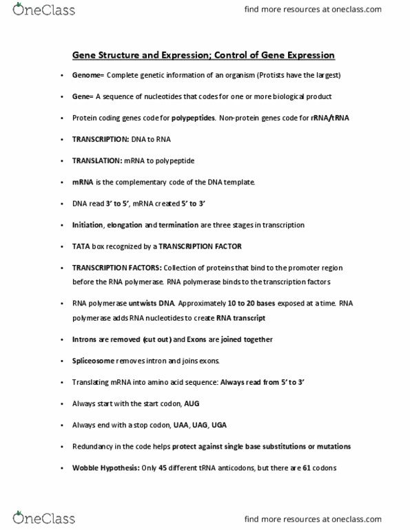 BIOL 1000 Lecture Notes - Lecture 11: Tata Box, Peptide, Transfer Rna thumbnail