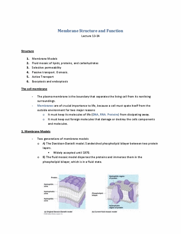 BIOL 1010 Lecture Notes - Transmembrane Protein, Cellular Respiration, Integral Membrane Protein thumbnail