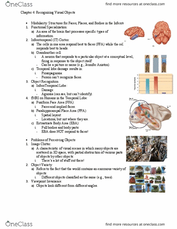 PSYC 363 Chapter Notes - Chapter 4: Jennifer Aniston, Grandmother Cell, Temporal Lobe thumbnail
