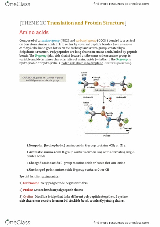 BIOL 243 Lecture 6: THEME 2C Translation and Protein Structure thumbnail