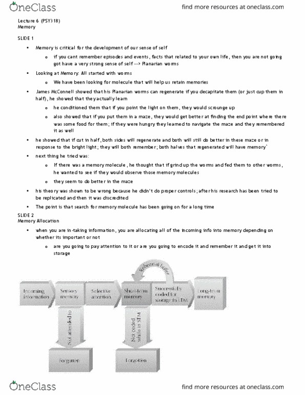 PSY318H5 Lecture Notes - Lecture 6: Planarian, Episodic Memory, Fear Conditioning thumbnail