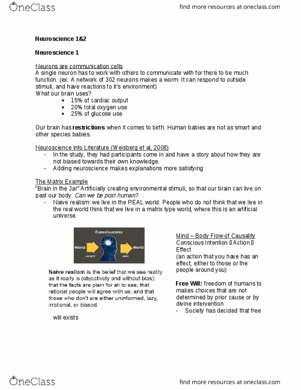 PSYCH 1XX3 Lecture Notes - Lecture 2: Sleepwalking, Bereitschaftspotential, Parietal Lobe thumbnail