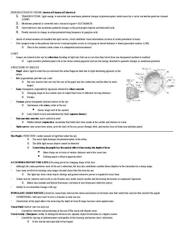 NEU 211 Lecture Notes - Lecture 5: Maton, Arman, Infor thumbnail