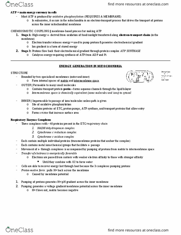 BIO 327 Lecture 6: ATP thumbnail