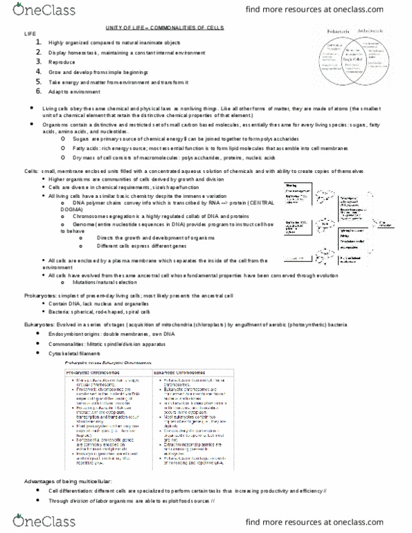 BIO 327 Chapter Notes - Chapter 1-2: Typhoon Hato, Essent, Bacteria thumbnail