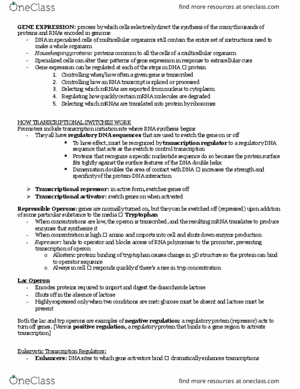 BIO 327 Lecture Notes - Lecture 12: Regulatory Sequence, Transcriptional Regulation, Multicellular Organism thumbnail