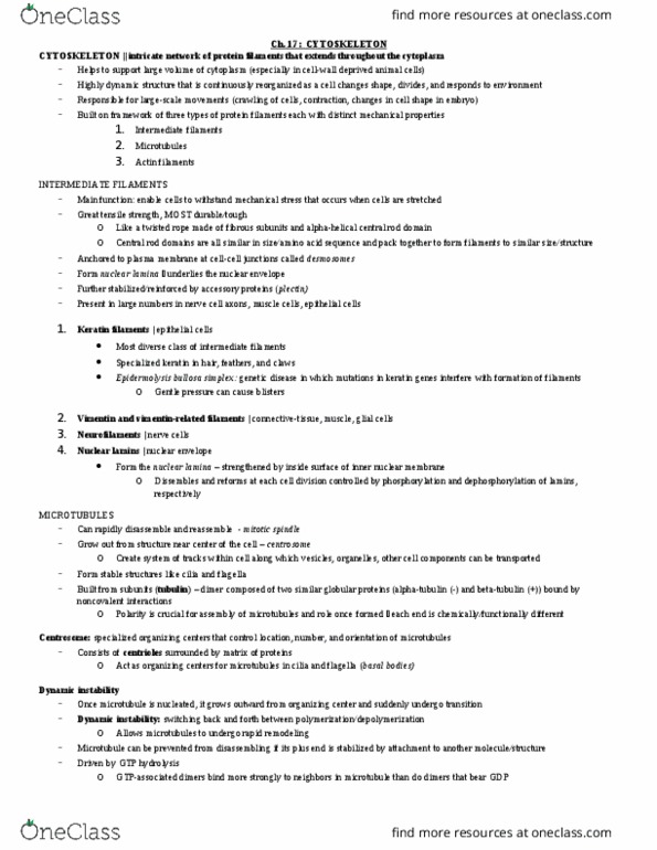 BIO 327 Chapter Notes - Chapter 17: Mitotic Inhibitor, Reflectron, Leading Edge thumbnail