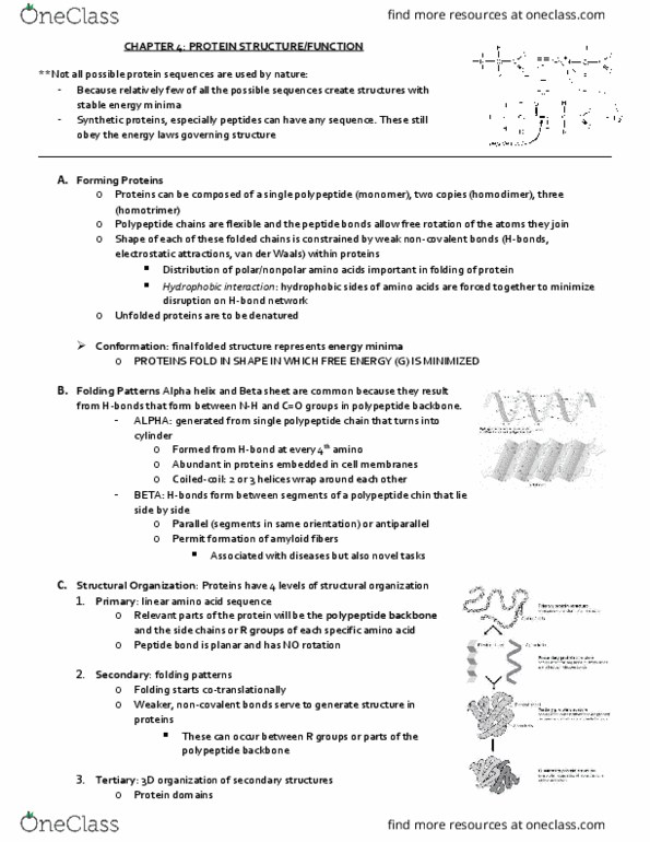 BIO 327 Chapter Notes - Chapter 4: Motor Protein, Ubiquitin, Electrophoresis thumbnail
