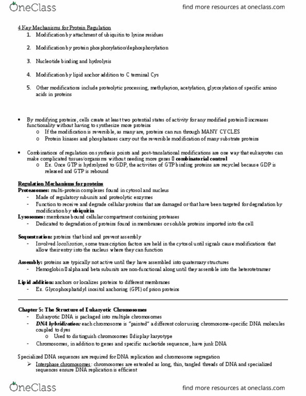 BIO 327 Chapter Notes - Chapter 5: Dna Replication, Transcription Factor Ii D, Heterotetramer thumbnail