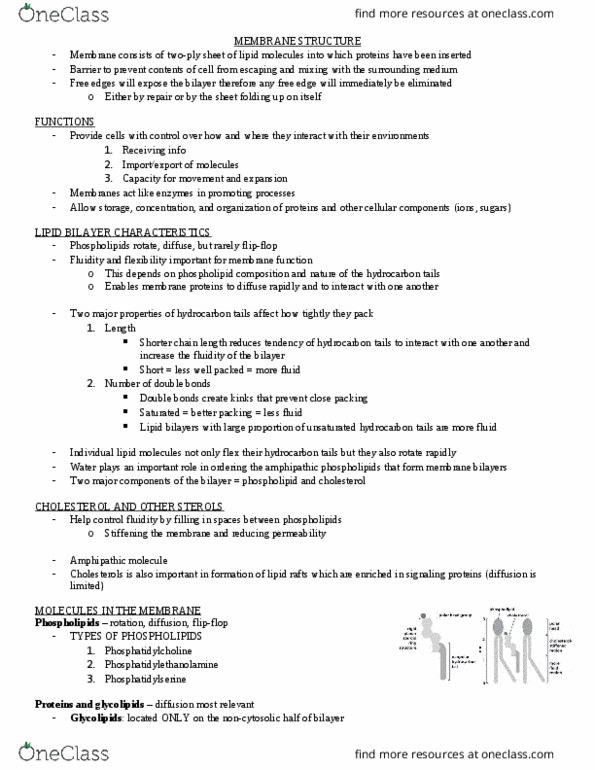 BIO 327 Chapter Notes - Chapter 11: Adsorption, Photon, Oligosaccharide thumbnail