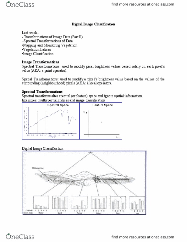 ERSC 3P07 Lecture Notes - Lecture 6: Soil Classification, Rangeland, Categorical Variable thumbnail