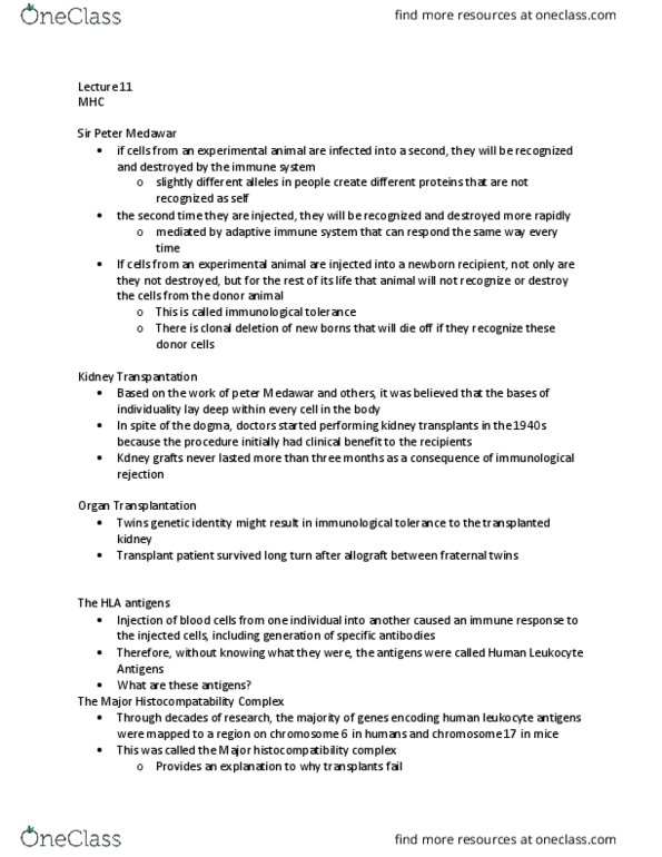 Microbiology and Immunology 3300B Lecture Notes - Lecture 11: Allotransplantation, Antibody, Cell Membrane thumbnail