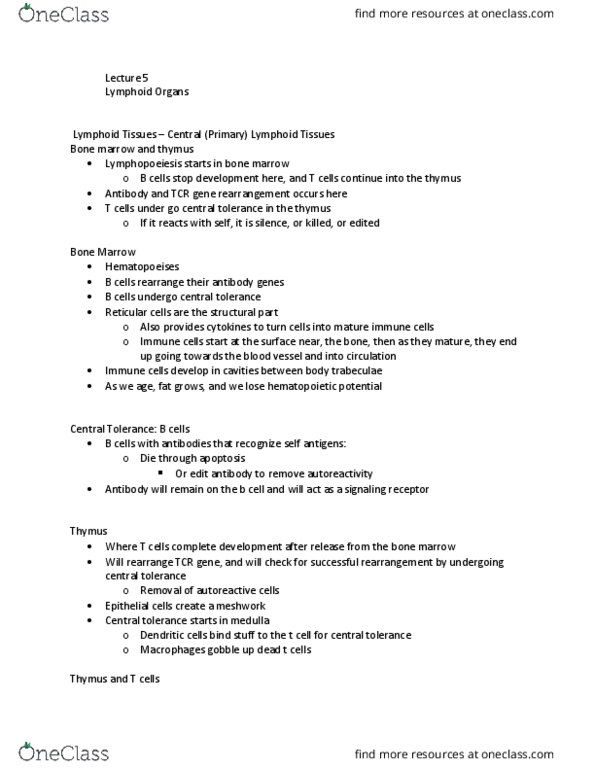 Microbiology and Immunology 3300B Lecture Notes - Lecture 5: Germinal Center, Transcytosis, Mucosa-Associated Lymphoid Tissue thumbnail