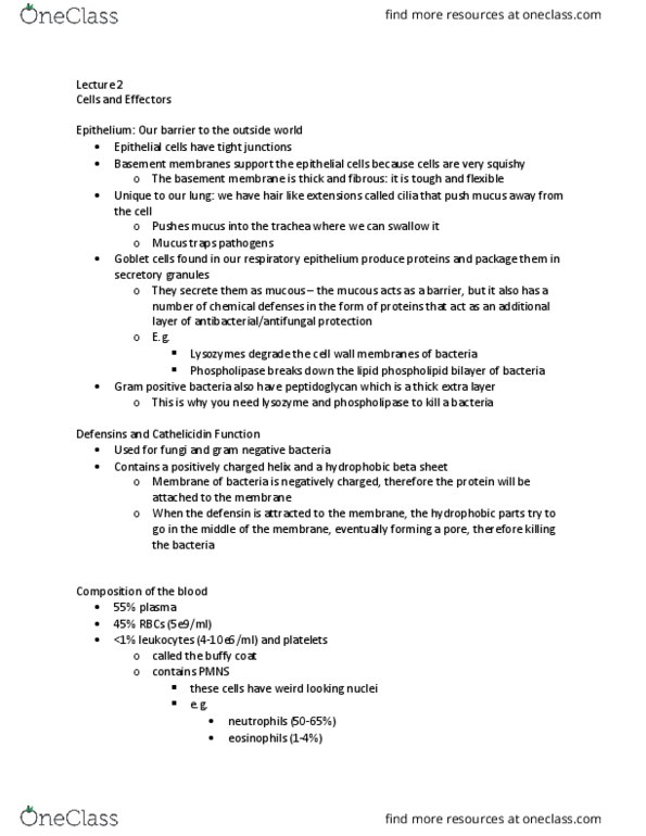 Microbiology and Immunology 3300B Lecture Notes - Lecture 2: Small Cell, Nucleated Red Blood Cell, Haematopoiesis thumbnail