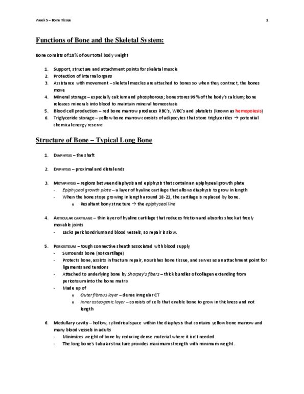 BISC 101 Lecture Notes - Lecture 5: Humerus, Central Canal, Trabecula thumbnail