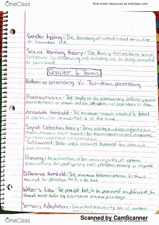 PSYC 100A Chapter Notes - Chapter 6: Visu, Middle Ear, Opponent Process thumbnail