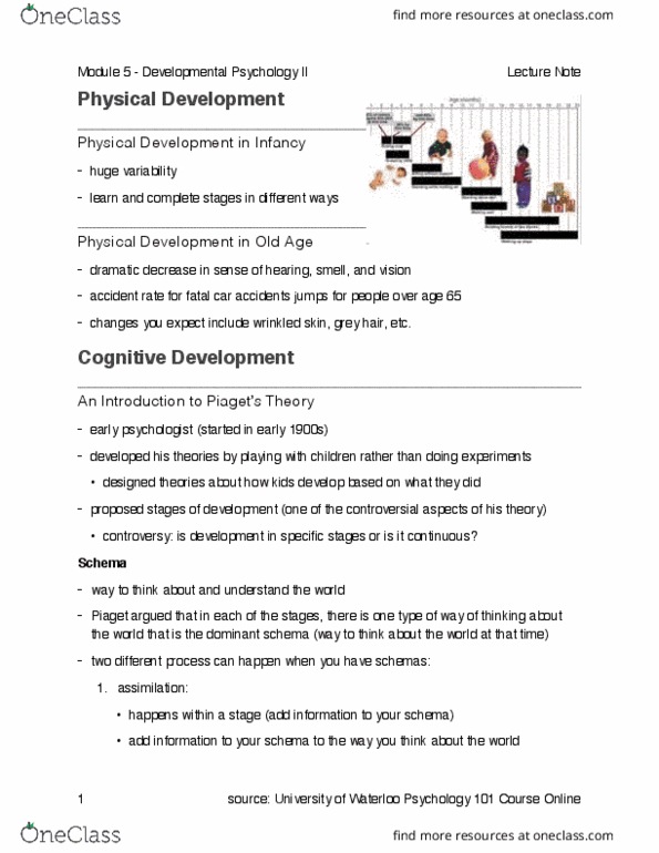 PSYCH101 Lecture Notes - Lecture 5: 6 Years, Object Permanence, Attachment Theory thumbnail