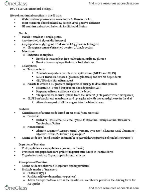 PHGY 313 Lecture Notes - Lecture 5: Glut5, Intestinal Epithelium, Amylopectin thumbnail