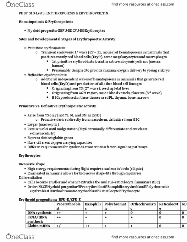 PHGY 313 Lecture Notes - Lecture 5: Red Blood Cell, Nucleated Red Blood Cell, Yolk Sac thumbnail