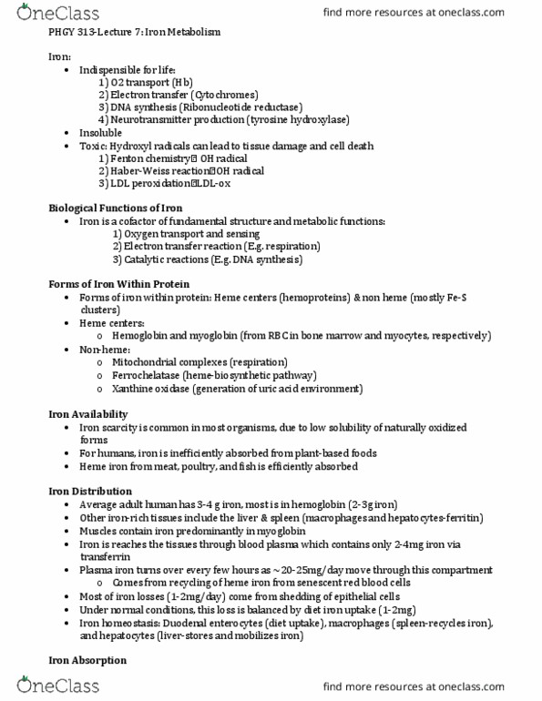 PHGY 313 Lecture Notes - Lecture 7: Xanthine Oxidase, Ribonucleotide Reductase, Tyrosine Hydroxylase thumbnail