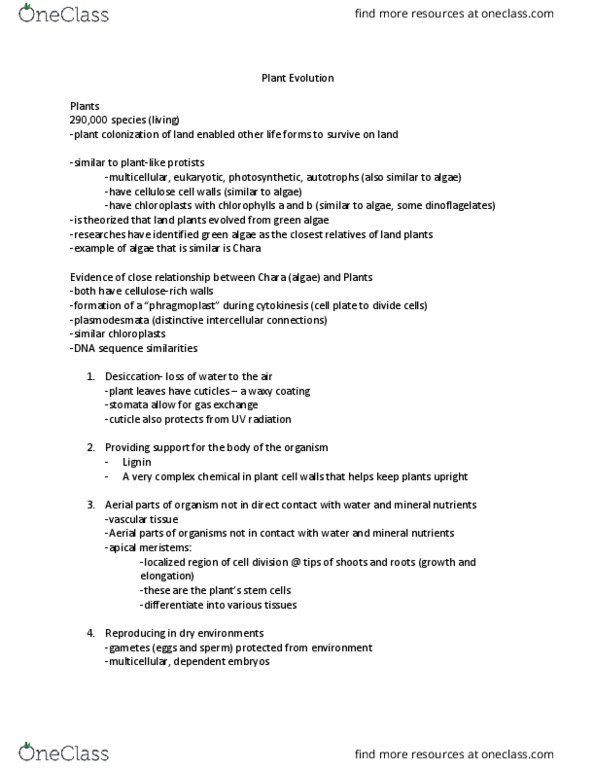 BIOL 211 Lecture Notes - Lecture 13: Bryophyte, Phragmoplast, Cell Plate thumbnail