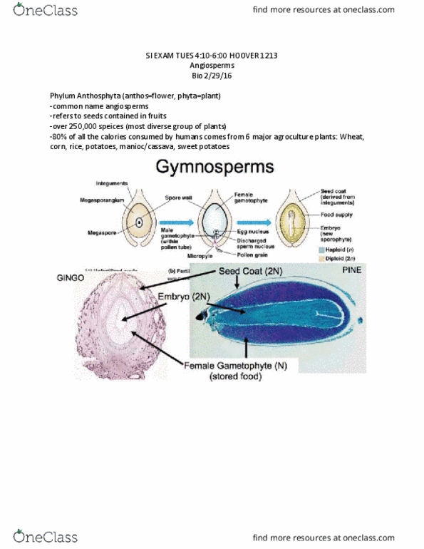 document preview image