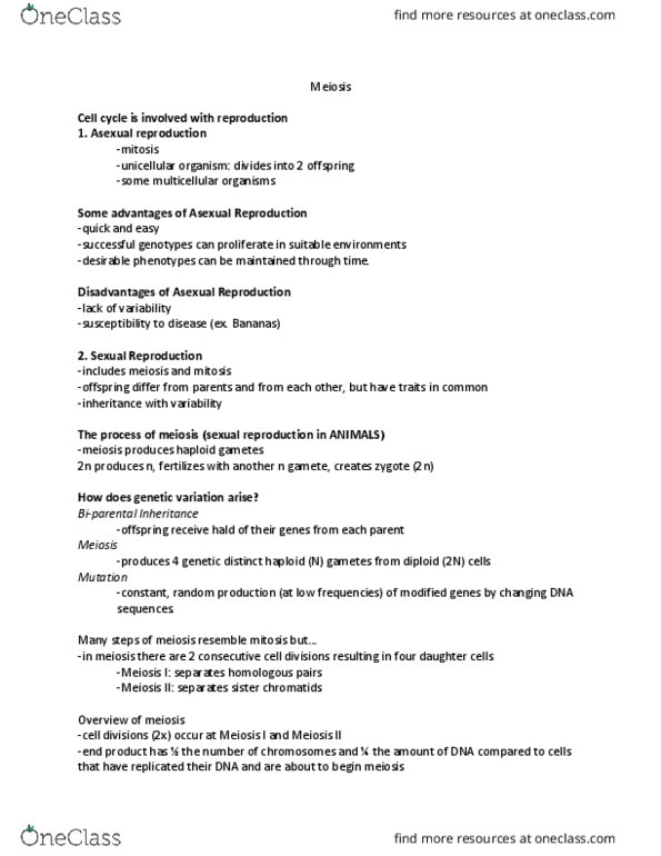 BIOL 211 Lecture Notes - Lecture 17: Asexual Reproduction, Sister Chromatids, Homologous Chromosome thumbnail