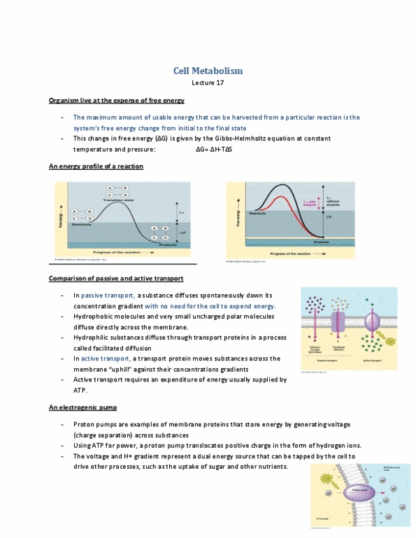 BIOL 1010 Lecture Notes - Exergonic Reaction, Electronegativity, Redox thumbnail