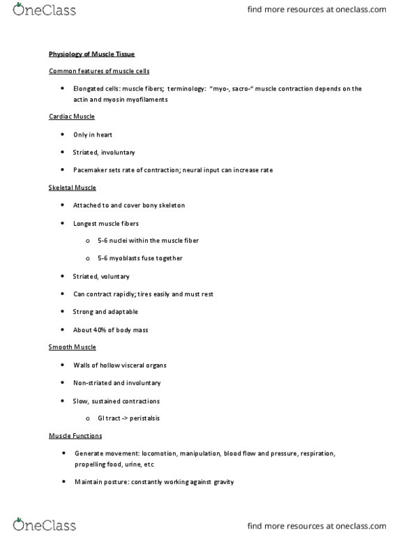 ANP 1105 Lecture Notes - Lecture 1: Skeletal Muscle, Myocyte, Peristalsis thumbnail