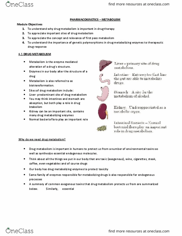 Pharmacology 2060A/B Lecture Notes - Lecture 4: Hepatotoxicity, Biotransformation, Isozyme thumbnail