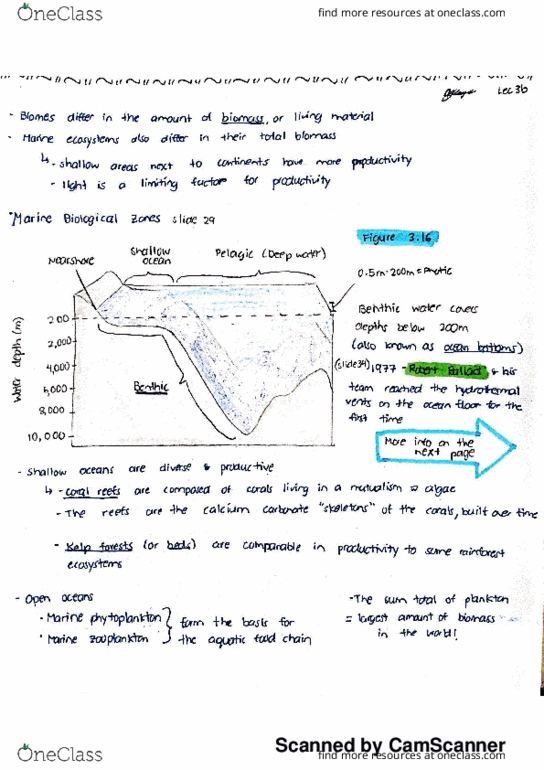 BIOB50H3 Lecture Notes - Lecture 3: Yokohama Rubber Company, Starch, Chemotroph thumbnail