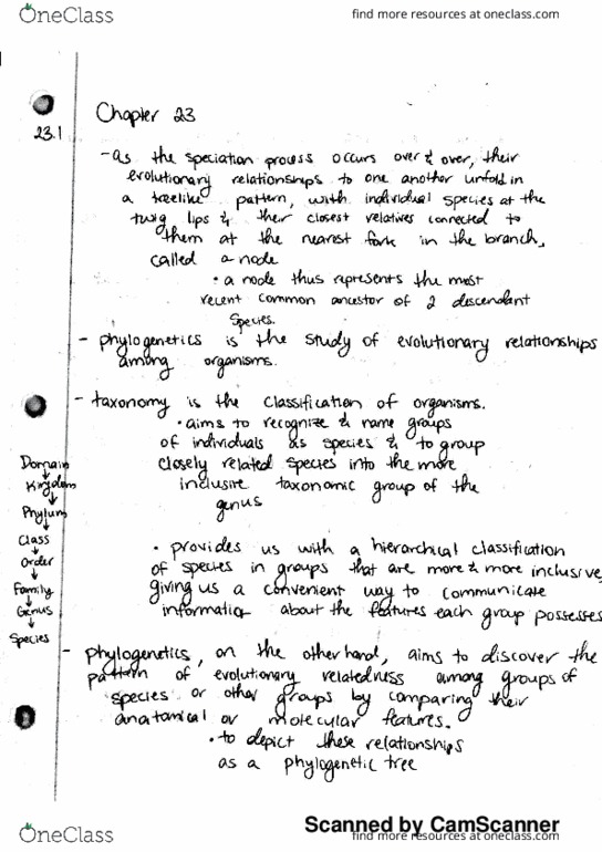 LIFESCI 1 Chapter 23: ls 1 ch 23 thumbnail