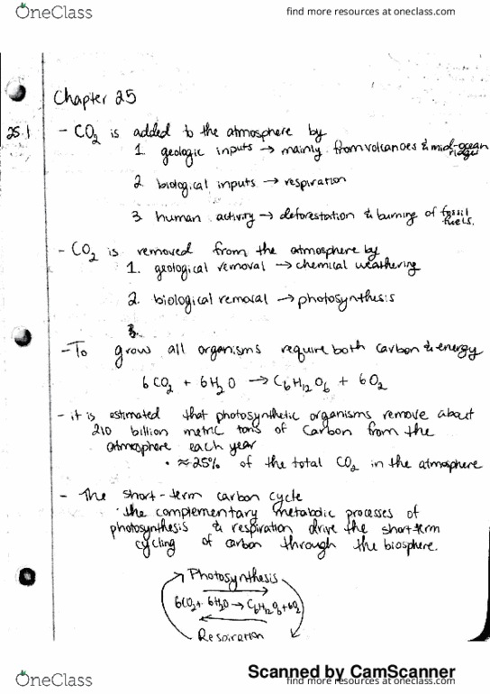 LIFESCI 1 Chapter 25: ch 25 thumbnail