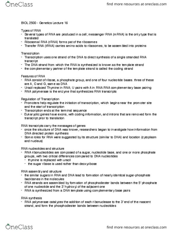 BIOL 2500 Lecture Notes - Lecture 16: Ribosomal Rna, Phosphodiester Bond, Coding Strand thumbnail