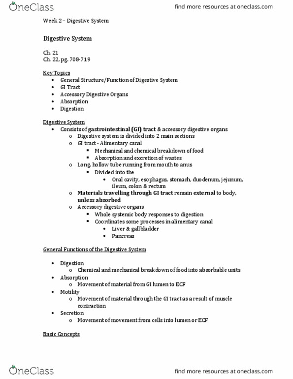 BIOL 2P97 Lecture 3: Digestive System - ROCHELE thumbnail