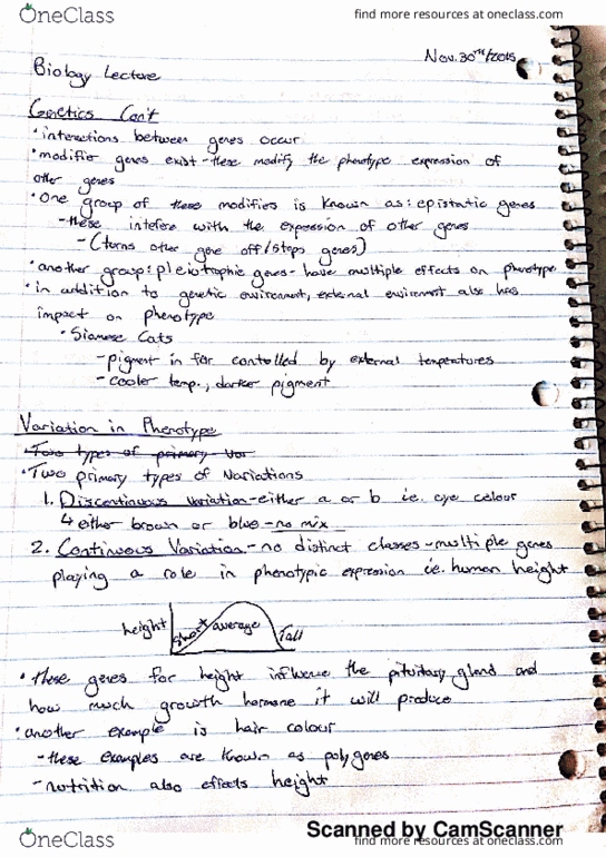 BIOL-1506EL Lecture 2: Biology Notes thumbnail