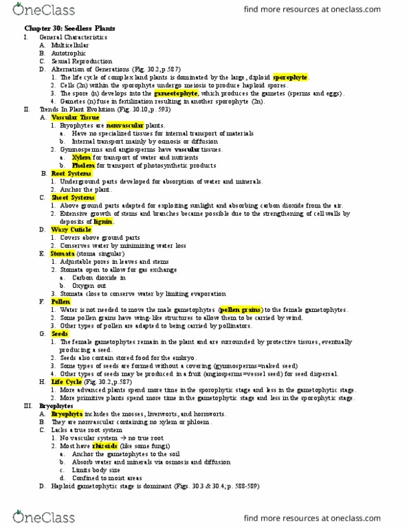 BIOL 1120 Lecture Notes - Lecture 15: Phloem, Gametophyte, Third Drees Cabinet thumbnail