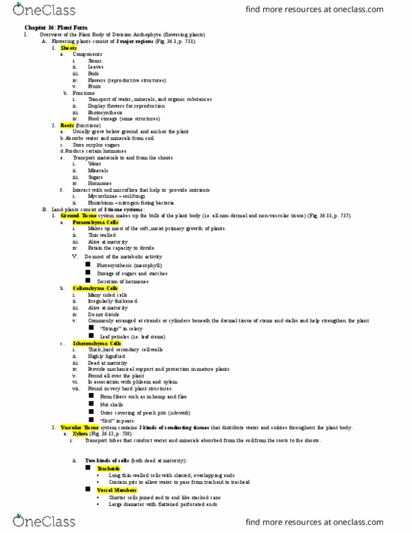 BIOL 1120 Lecture Notes - Lecture 17: Ateas, Hfr Cell, Endodermis thumbnail