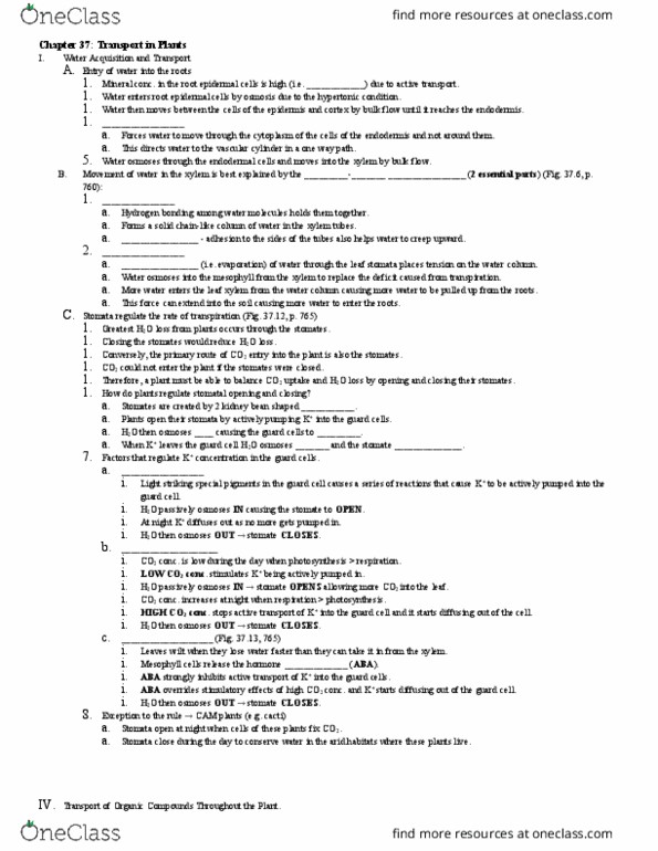 BIOL 1120 Lecture Notes - Lecture 18: Hydrostatics, Plasmodesma, Cactus thumbnail