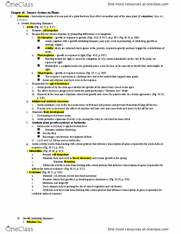 BIOL 1120 Lecture Notes - Lecture 20: Senescence, Spinach, Cella thumbnail