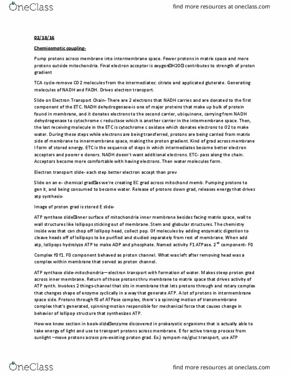 BIOS 222 Lecture Notes - Lecture 11: Mecha, Reduction Potential, Pyruvic Acid thumbnail