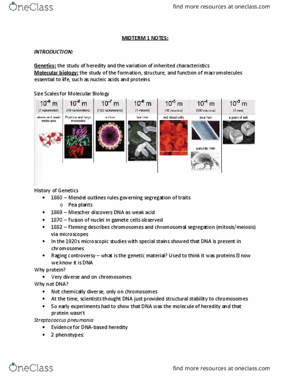 BIOL 2301 Lecture Notes - Lecture 1: Antigen, Nondisjunction, G1 Phase thumbnail